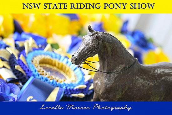 NSW RPSBS State Show 2020