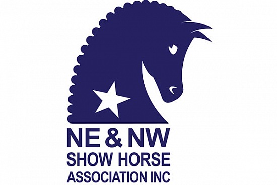 NSW Country Show Horse Champs 2021