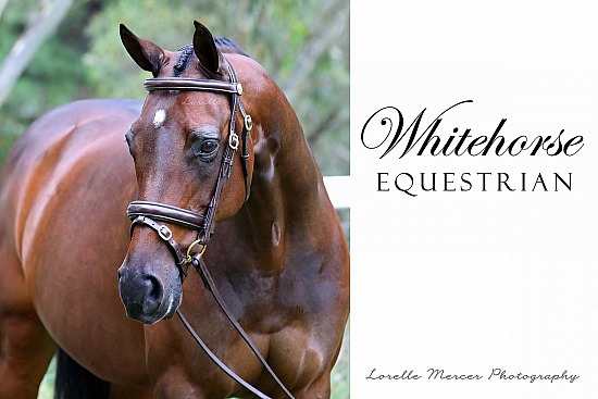 Whitehorse Equestrian