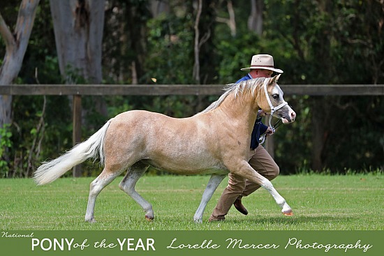 National Pony of the Year 2022