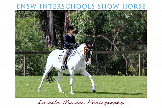 ENSW Interschool Show Horse