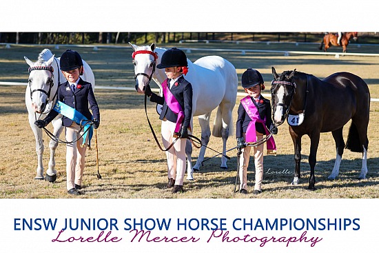 ENSW Junior Show Horse Champs